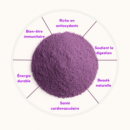 Poudre d'Ube